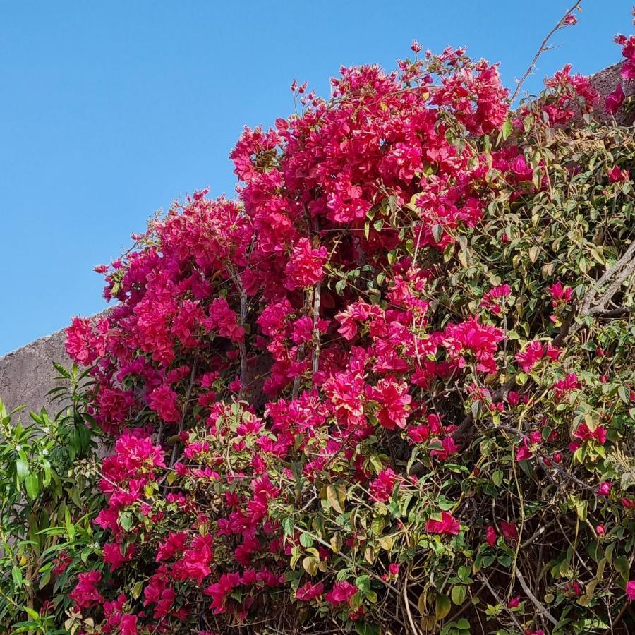 Riad Les Deux Citronniers มาร์ราเกช ภายนอก รูปภาพ